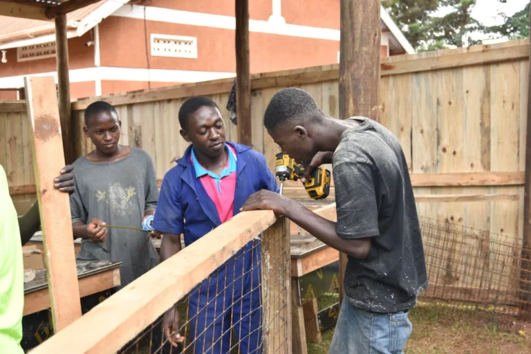 Young men measuring and building a timber fence during carpentry training